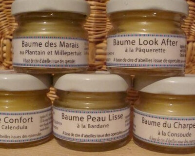 Baume des marais