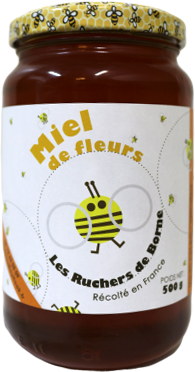 Miel de fleurs 500g