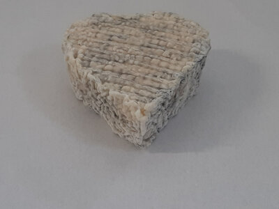Coeur cendré