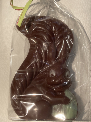 Ecureuil choc lait
