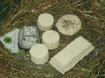 Cabrioux secs x3-