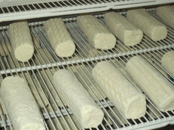 Buche blanche