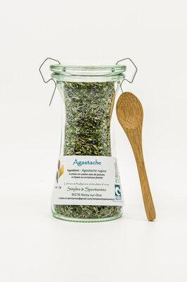 Agastache