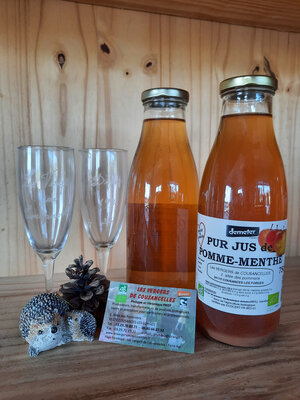 Pur jus de pomme-menthe 75cl