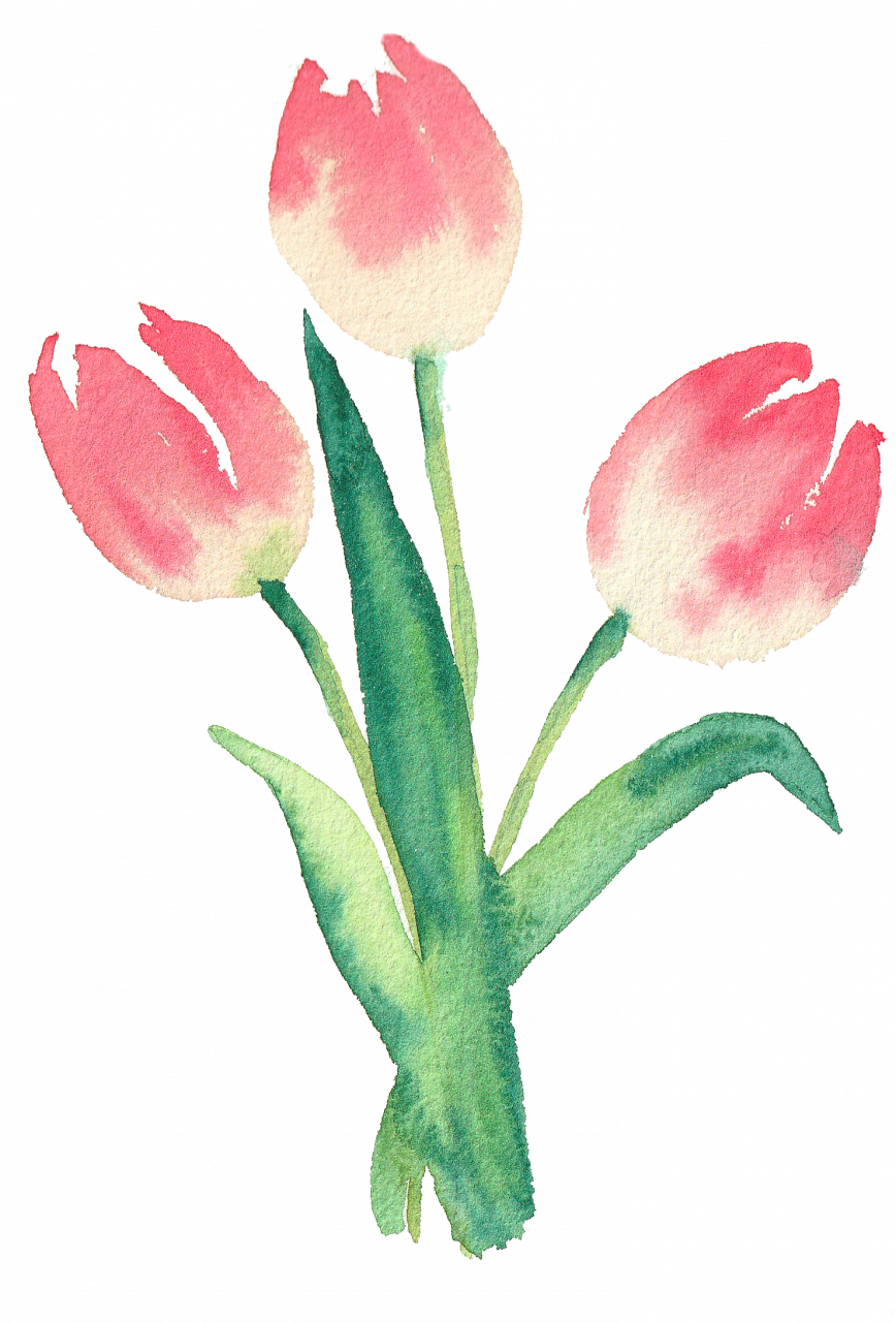 Carte aquarelle (+enveloppe) tulipes - 1 u - Le Safran Marnais - Locavor.fr