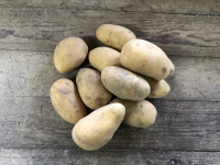 Pomme de terre allians bio