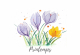 Carte aquarelle (+enveloppe) crocus printemps - image 3