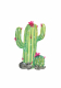 Carte aquarelle (+enveloppe) cactus - image 3