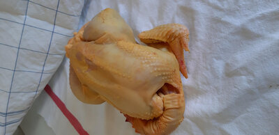 Poulet fermier 2,8 kg