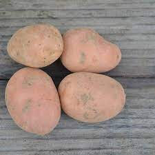 Pomme de terre