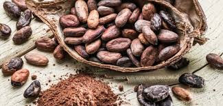 Pataruch chocolat