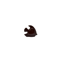 Bubulle le poisson - chocolat noir 100g