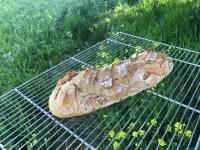 Pain complet fr-bio-09