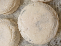 'le bleuté du lindgrube'