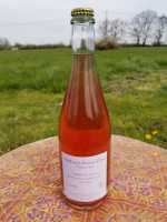 Pétillant de sureau cassis