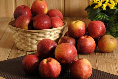 Pomme bio, variété dalinette
