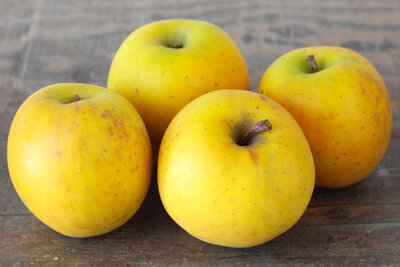 Pomme bio, variété delice d'or