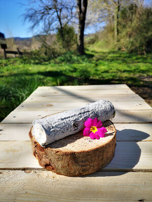 La buche cendrée pur chèvre bio