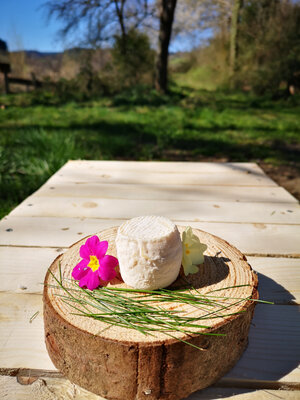 Lot de 2 fromages pur chèvre mi-secs bio