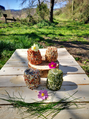 Lot de 4 fromages chèvre frais aromatisés bio