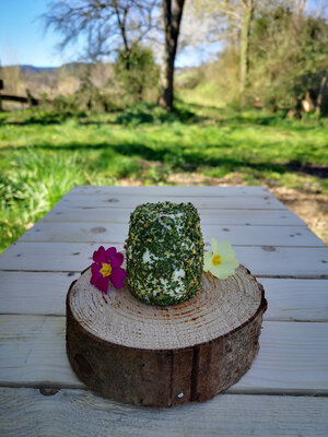 Le frais 'ail et fines herbes' pur chèvre bio