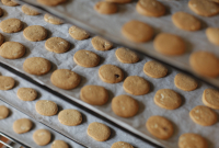 Petits gâteaux aux noisettes