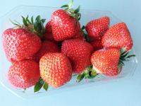 Fraises en barquettes