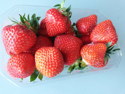 Fraises en barquettes