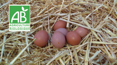 6 oeufs bio extra frais