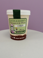 Crème glacée citron