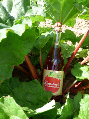 Rhubibulle