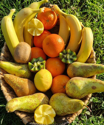 Panier de fruits