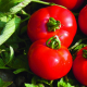 Tomate fournaise f1 - image 2