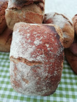 Pain au grand épeautre