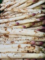 Asperges blanches premier choix
