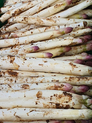 Asperges blanches premier choix