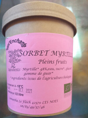 Sorbet pleins fruits myrtille
