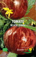 Tomate black zebra