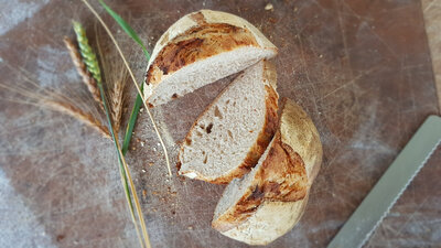 Pain de campagne bio pur levain-1kg