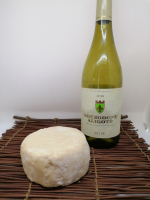 Petit chêne aligoté