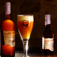 Camin lewis bière de printemps