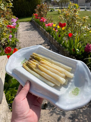 Les asperges du grand chemin -1 kilo