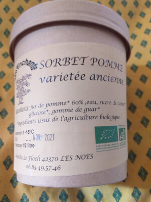 Sorbet pleins fruits pomme