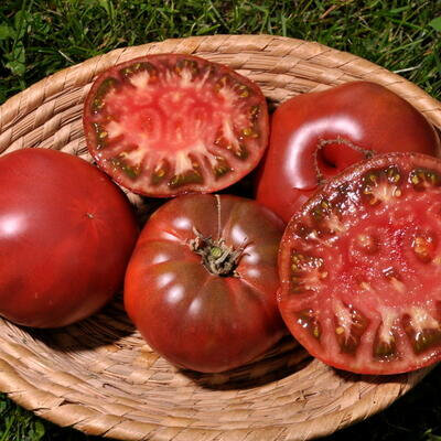 Tomate noir de crimée