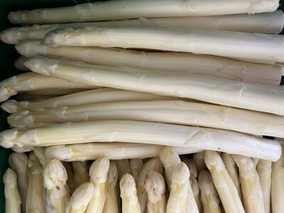 Asperges moyennes (16/22 mm)