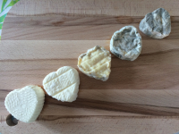 Pti cœur mélangé brebis