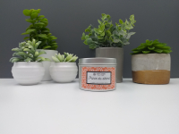 Bougie prince du desert