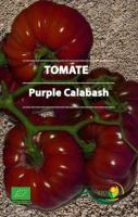 Plant tomate 'purple calabash'