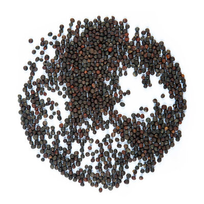 Graines de chou rouge vrac 125g