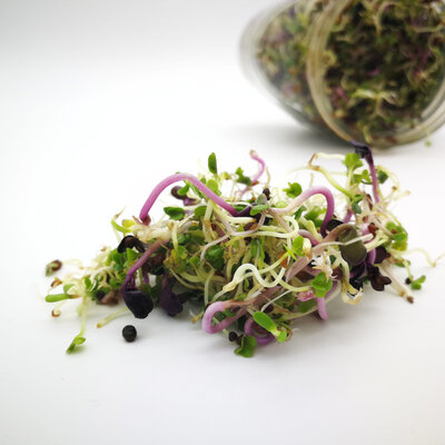 Mélange de graines 'adagio' vrac 50g